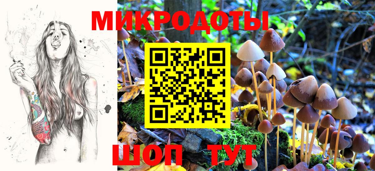 Галлюциногенные грибы Cubensis  Псилоцибиновые грибы мухоморы  Димитровград  Вход с VPN 