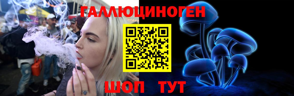 Псилоцибиновые грибы мицелий Димитровград